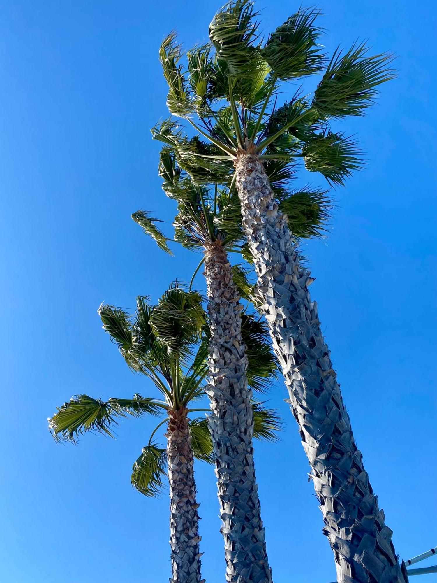 The Grove At Pismo Beach Hotell Exteriör bild